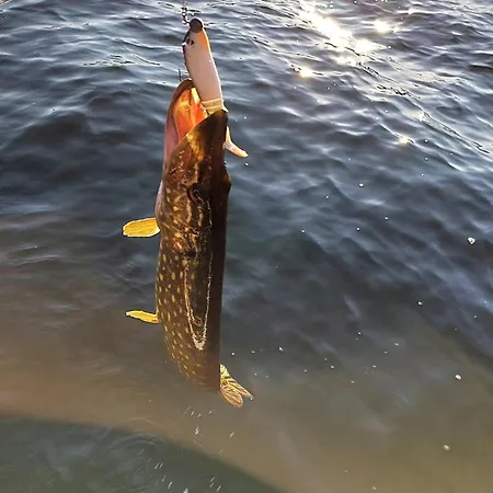 Сasa de vacaciones Kaszubskie Laki Nr 4