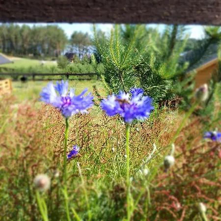 Kaszubskie Laki Nr 4 * Lakie (Bytow)