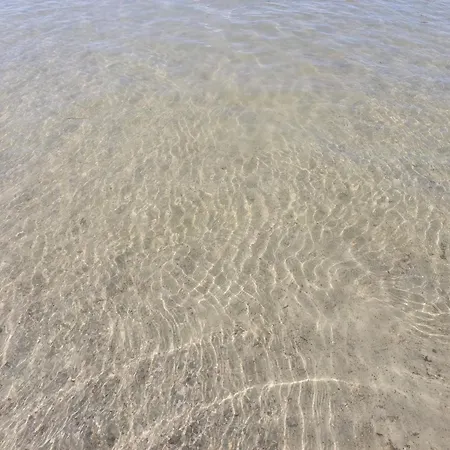 Kaszubskie Laki Nr 4 *