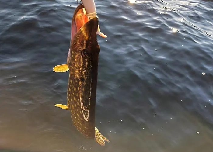 بيت للعطل Kaszubskie Laki Nr 4