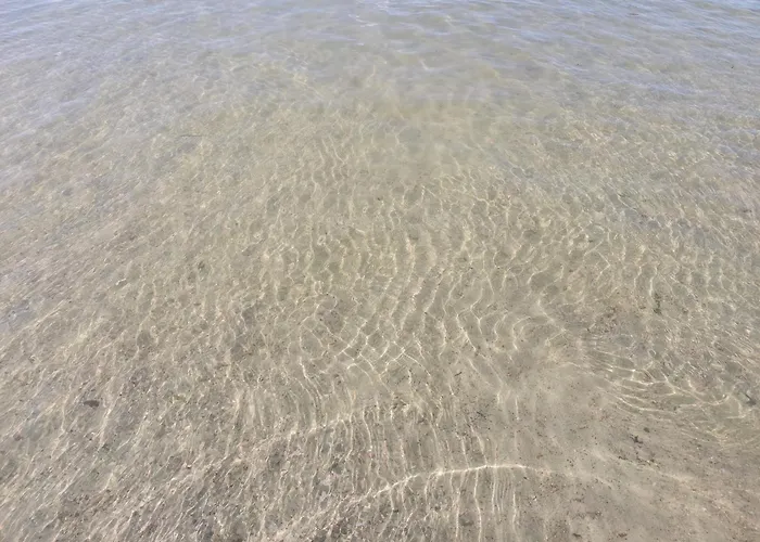 Kaszubskie Laki Nr 4 *